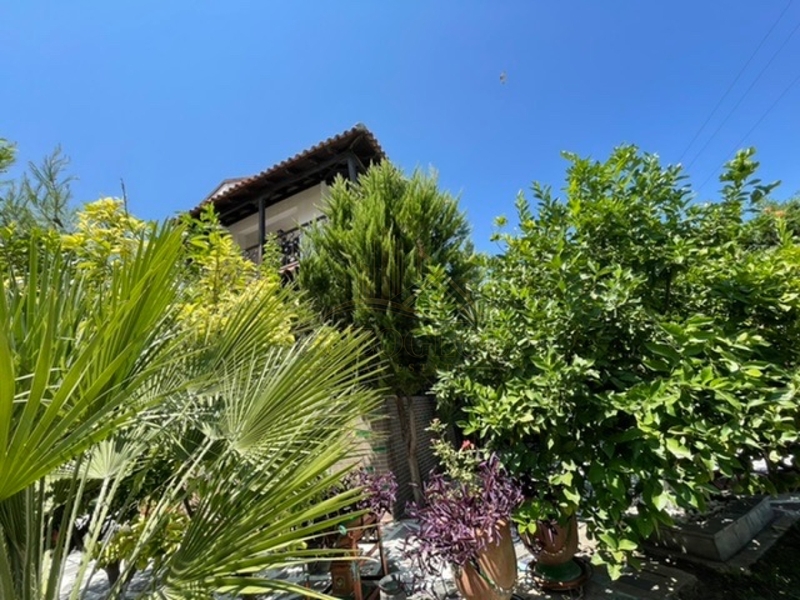 property-img